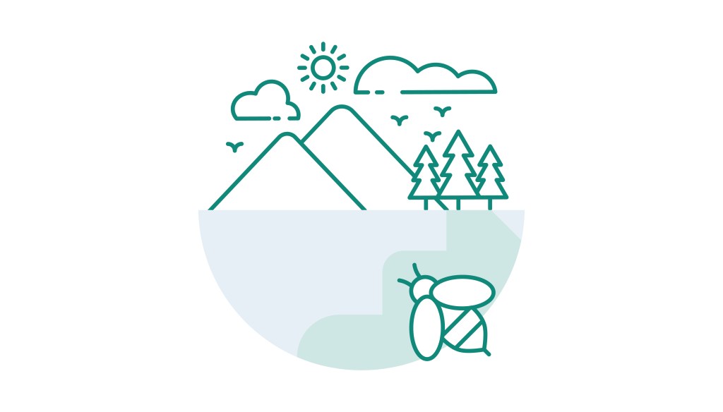 Bioblitz am Campus&nbsp;🐛🐜