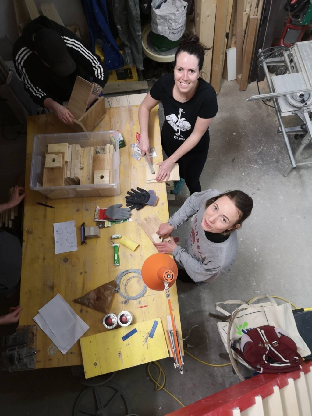 Nistkastenbau für Singvögel