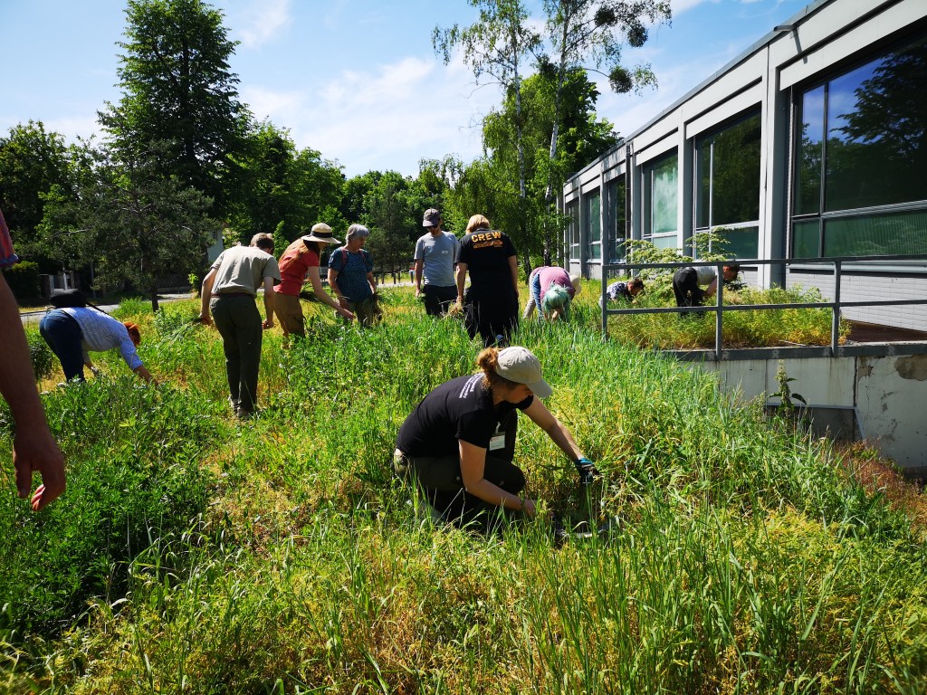 Netzwerktreffen Berlin