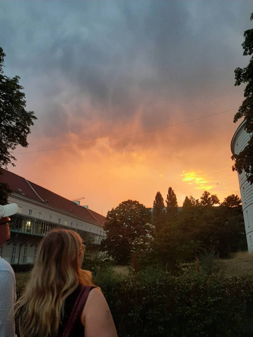 Bat Walk am&nbsp;Campus