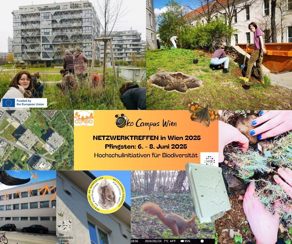 Netzwerk HIB-Treffen zu Pfingsten in Wien